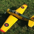 AT-6 Texan Harward